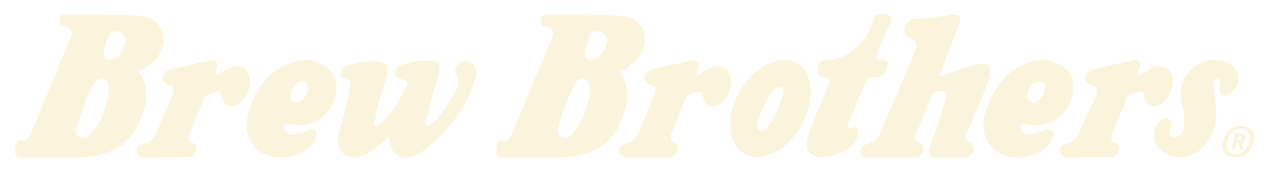 BrewBrothers_WebAssets-06